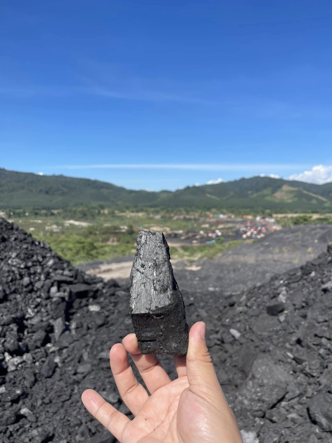 Lignite sample from the pit